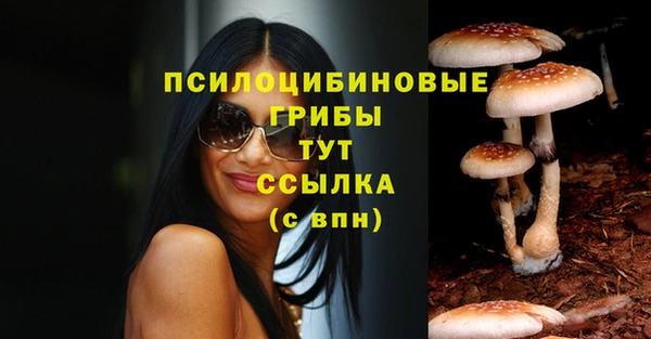синтетический гашиш Армянск
