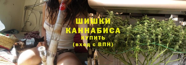 ПСИЛОЦИБИНОВЫЕ ГРИБЫ Аркадак