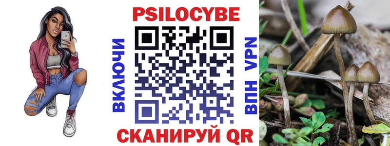 Псилоцибиновые грибы ЛСД  Купить закладки  Белгород 